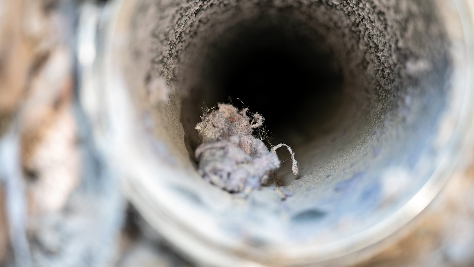 Dryer Vent Pro Cencal Clovis Fresno CA Dirty Vent 1